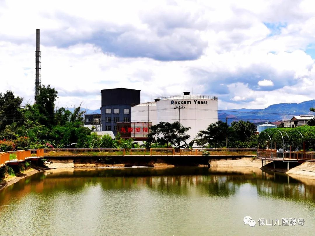 1658717181978070.jpg 640 (7).jpg