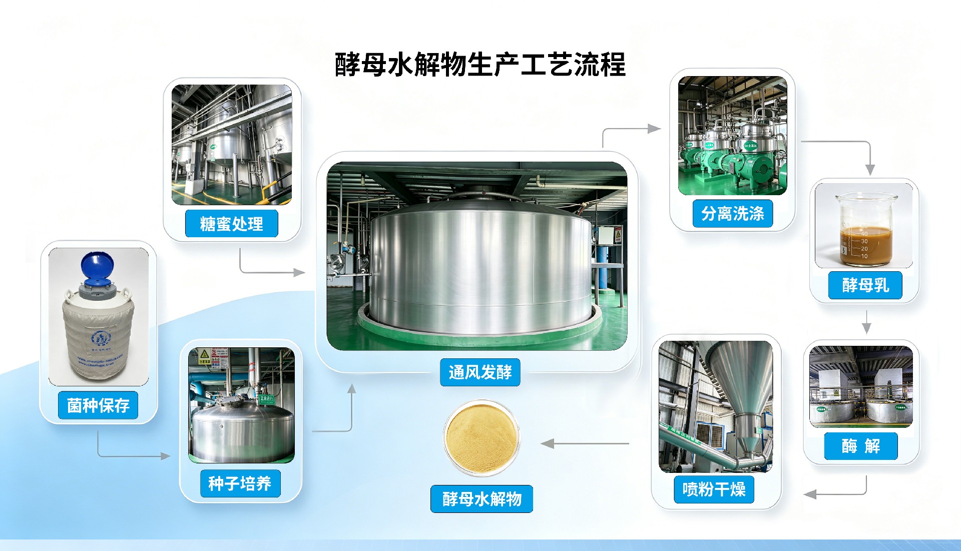 1785291811138466.jpg 酵母水解物生产流程.jpg